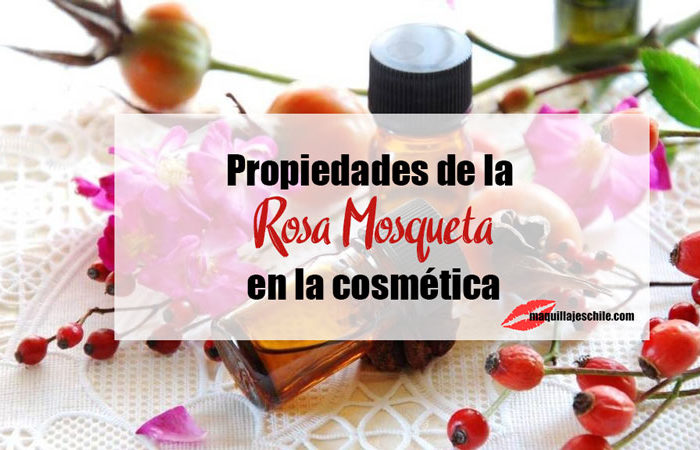 Propiedades de la rosa mosqueta